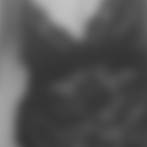 rencontre-Cougar-Rouen